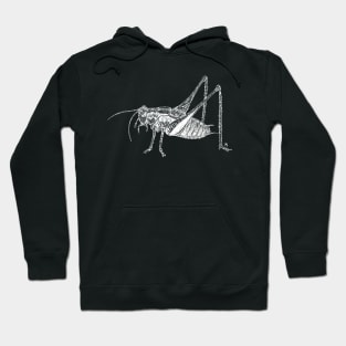 Bush Cricket (White) Hoodie